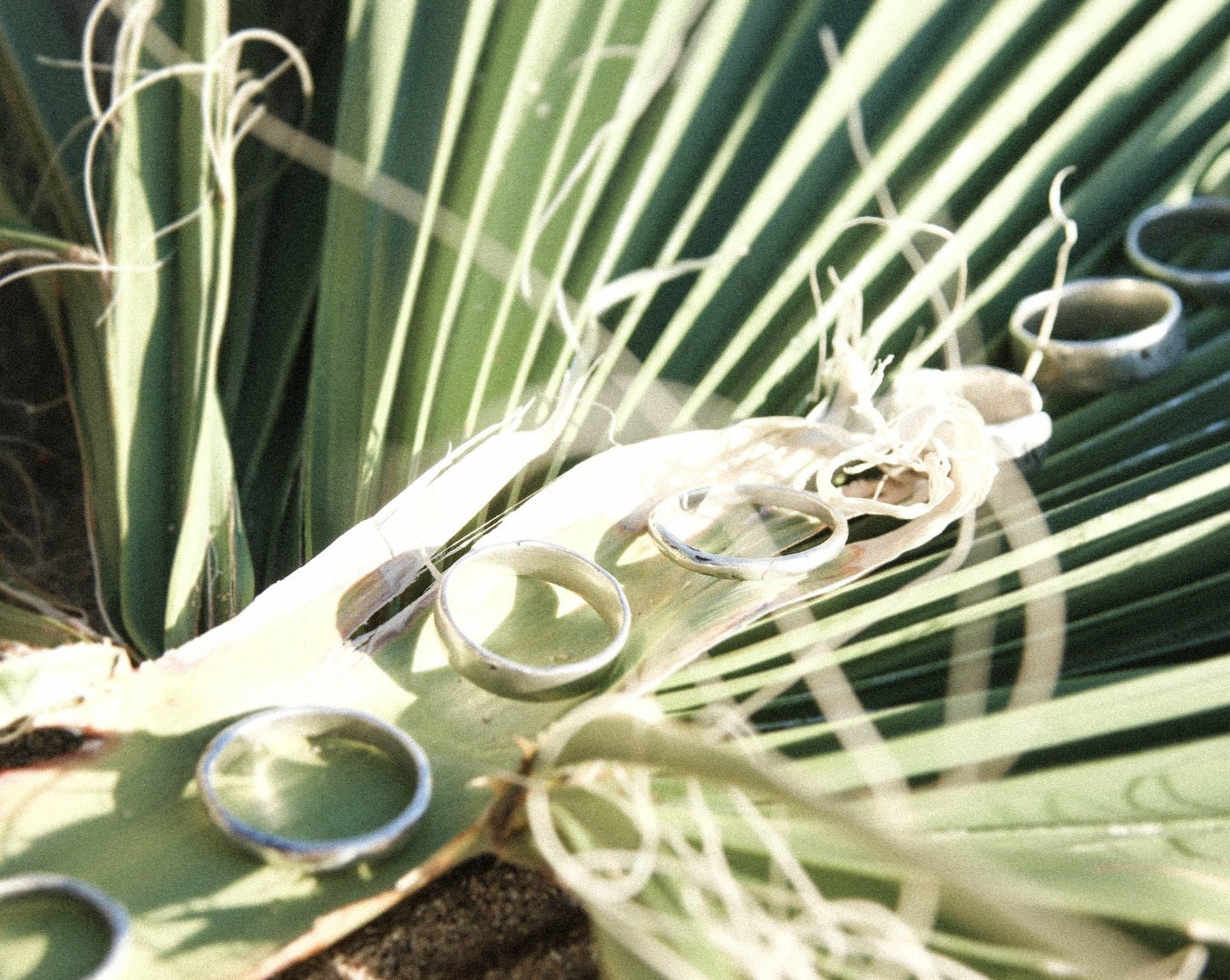 The Buck | .925 Sterling Silver